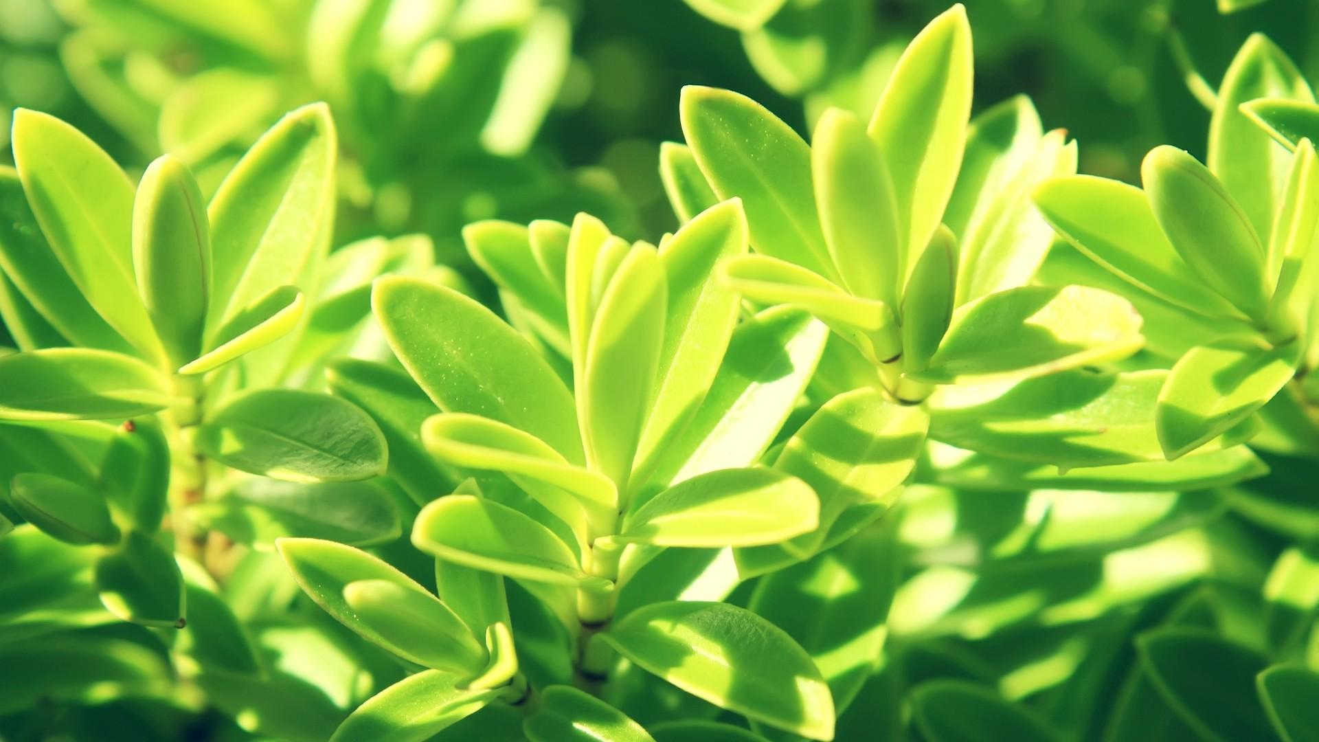 Mini Mucking Loader Installation Precautions